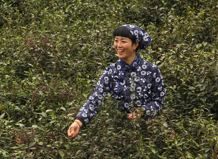 免费观看直播网站app 热门推荐